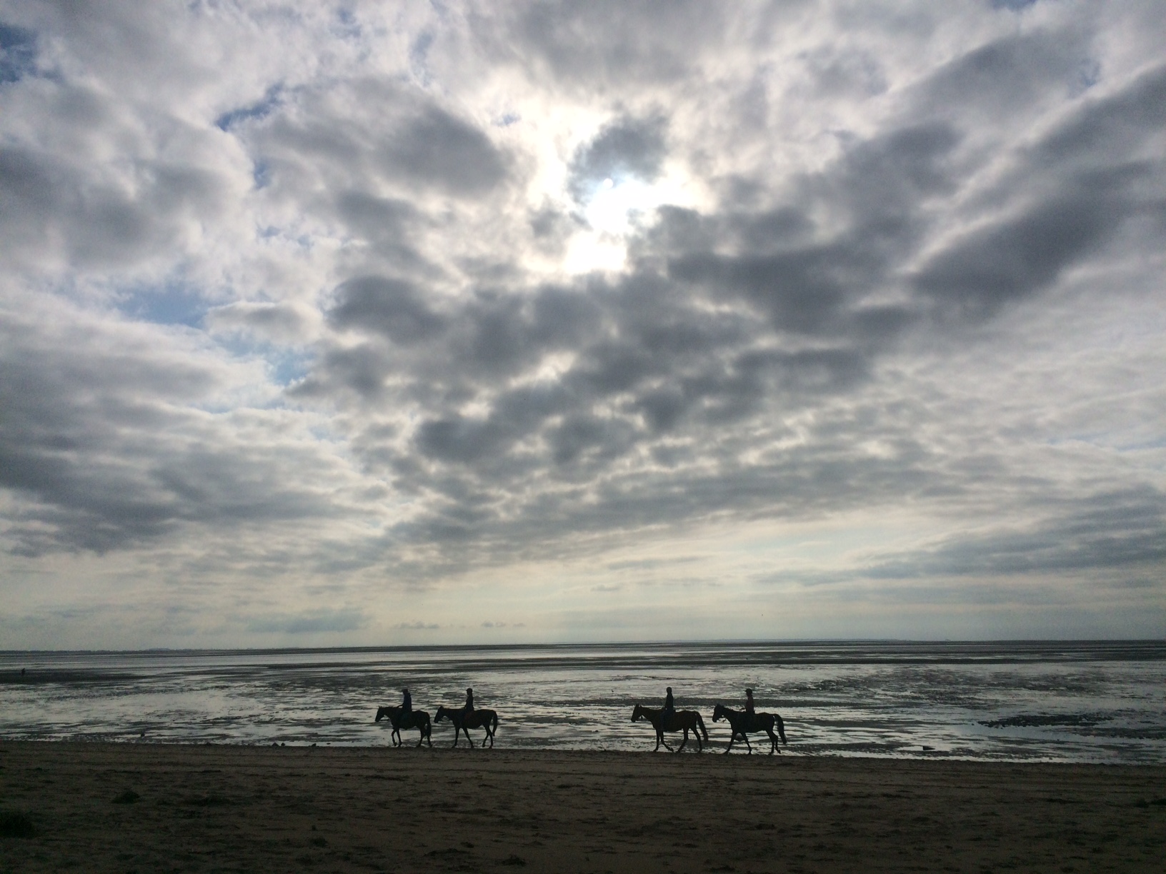 Cheval plage