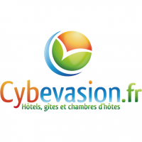 Logo cybevasion